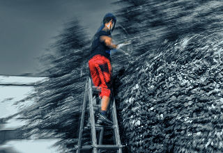 Team-KJH Hecken schneiden